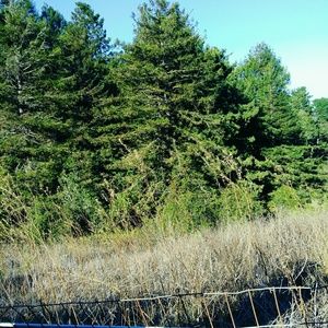 Meet your Posher, Johnneshia